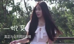 王蒙爆料杨馥宇视频播放,真相与争议