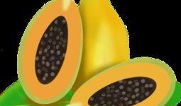 吃瓜贴纸素材下载安装免费,免费下载安装吃瓜贴纸，轻松打造趣味文章副标题