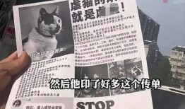 杰克辣条被人爆料视频是真的吗,真相究竟如何？